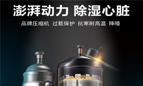 解决南方潮湿问题的烦恼——南方除湿机 解决南方潮湿问题的烦恼——南方除湿机