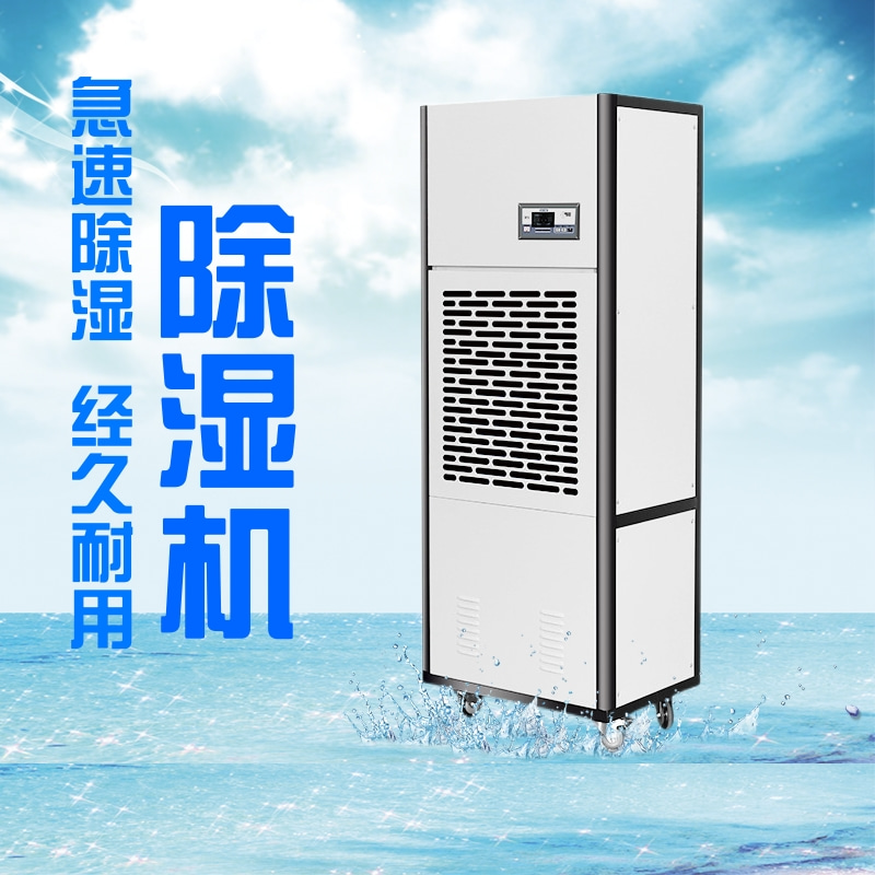 在数字化转型中,加湿机行业的创新机遇 在数字化转型中,加湿机行业的创新机遇