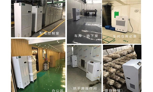 低价除湿机逆袭?揭秘其占领高端市场的策略 低价除湿机逆袭?揭秘其占领高端市场的策略